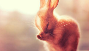 中亚元老出击：图什巴希劲旅欲重整旗鼓